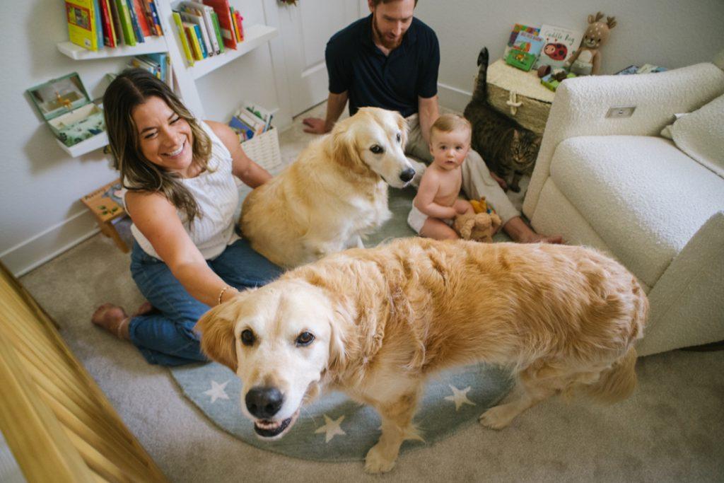 boulder family photos with dogs
