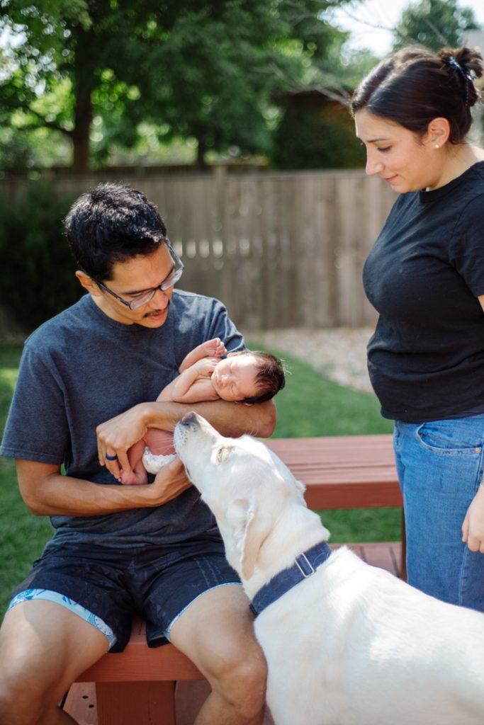 outdoor newborn photos fort collins colorado