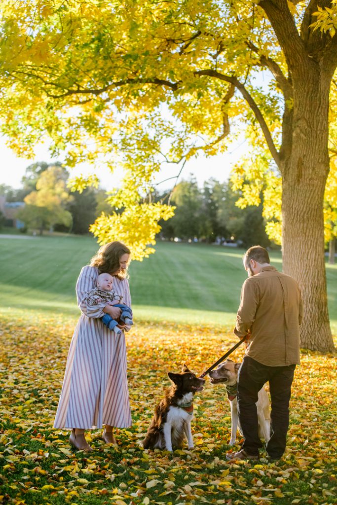 Hybrid indoor / outdoor newborn session