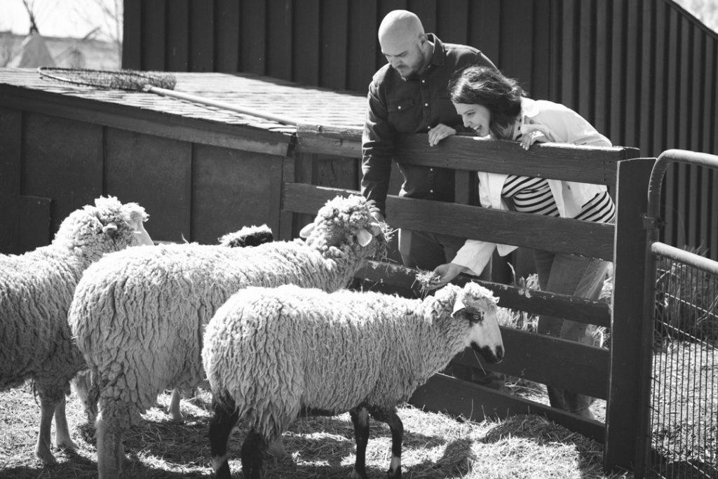Mini Maternity Session in Boulder County
